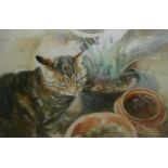 GILLIAN CAROLAN, A WATERCOLOUR Interior scene. study of a cat, titled ?Flower Pots?, signed lower