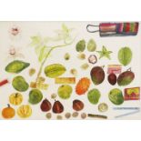 *Dame Elizabeth Blackadder RA RSA (b.1931)EXOTIC FRUITS AND ORCHIDSSigned and dated 1992 l.r.,