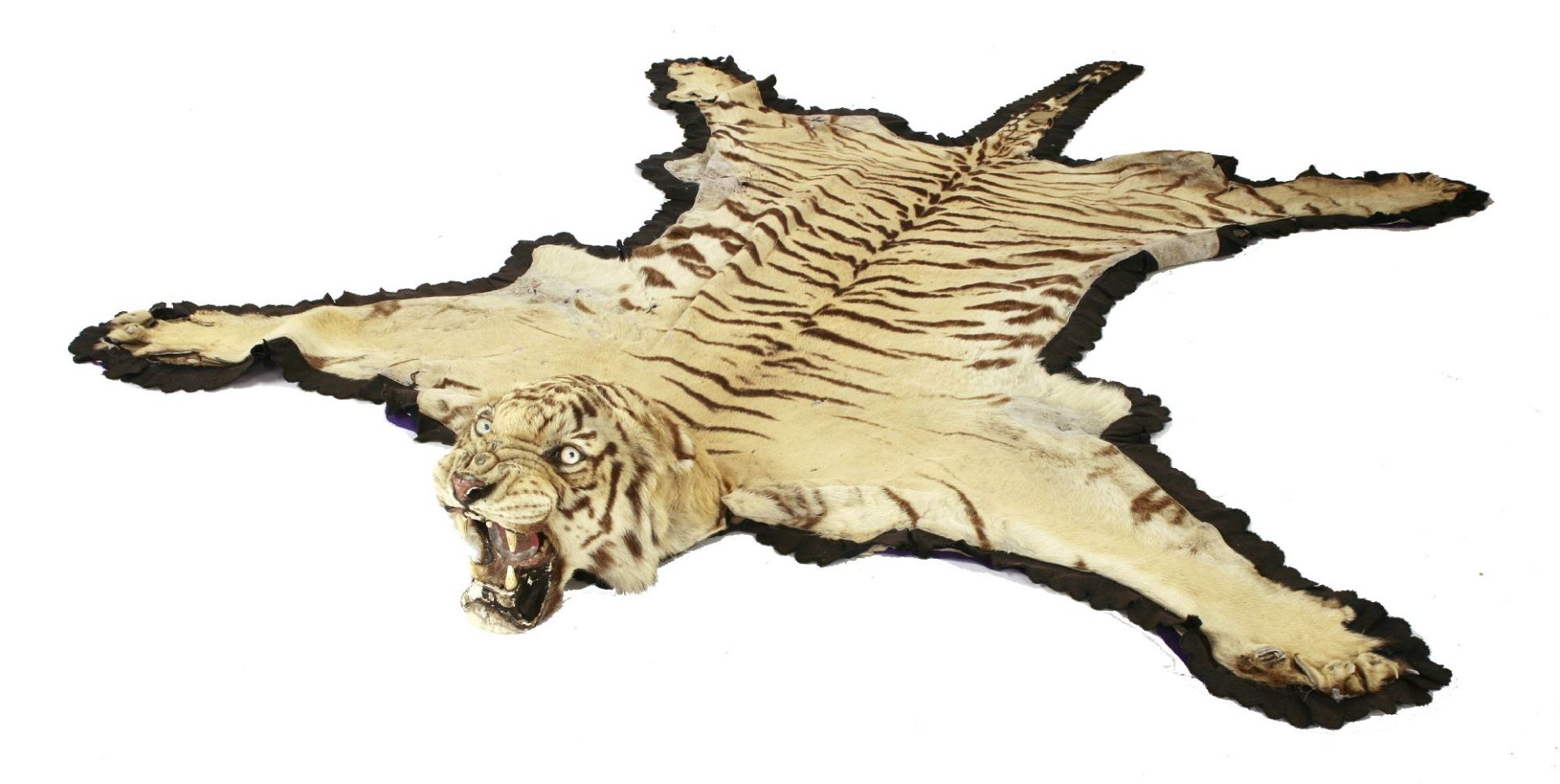 A tiger skin rug,c.1900, with a full head, backed, poor condition,265cm long