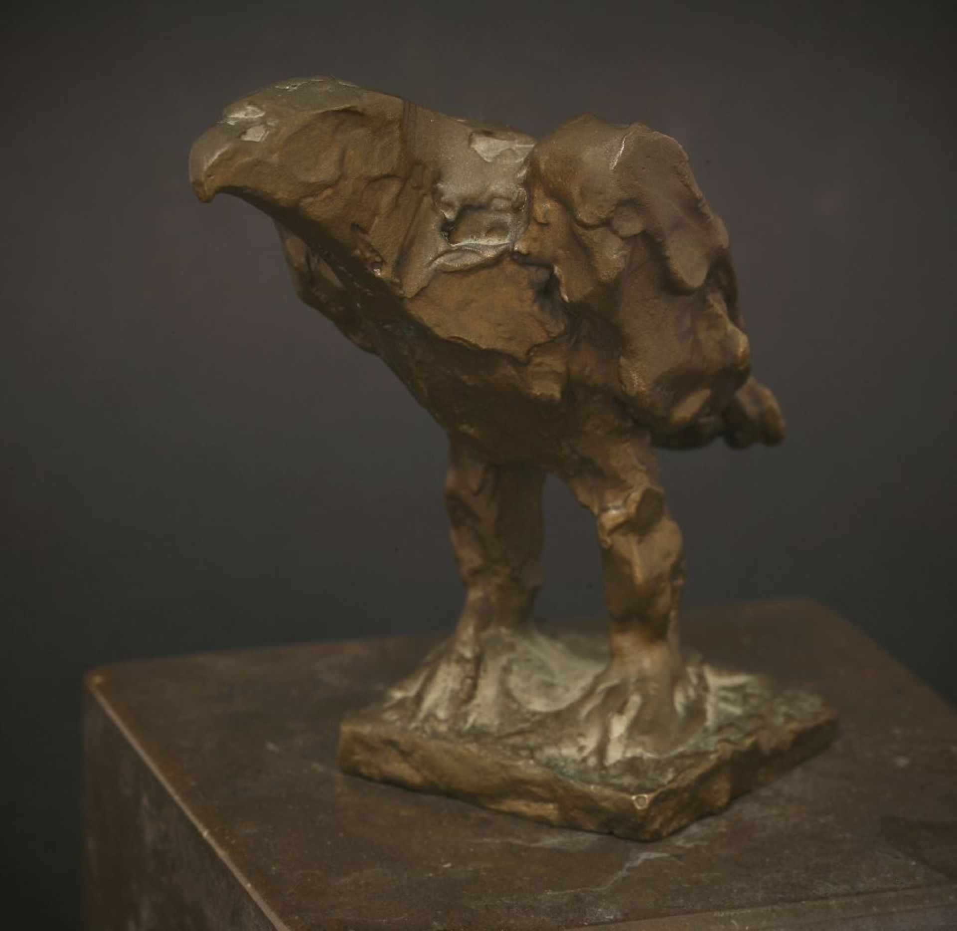 *Dame Elisabeth Frink RA (1930-1993),a golden eagle, bronze, with a brown patina, signed and - Image 7 of 7