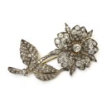 A Victorian diamond set floral en tremblant spray brooch,a flower head cluster with an old