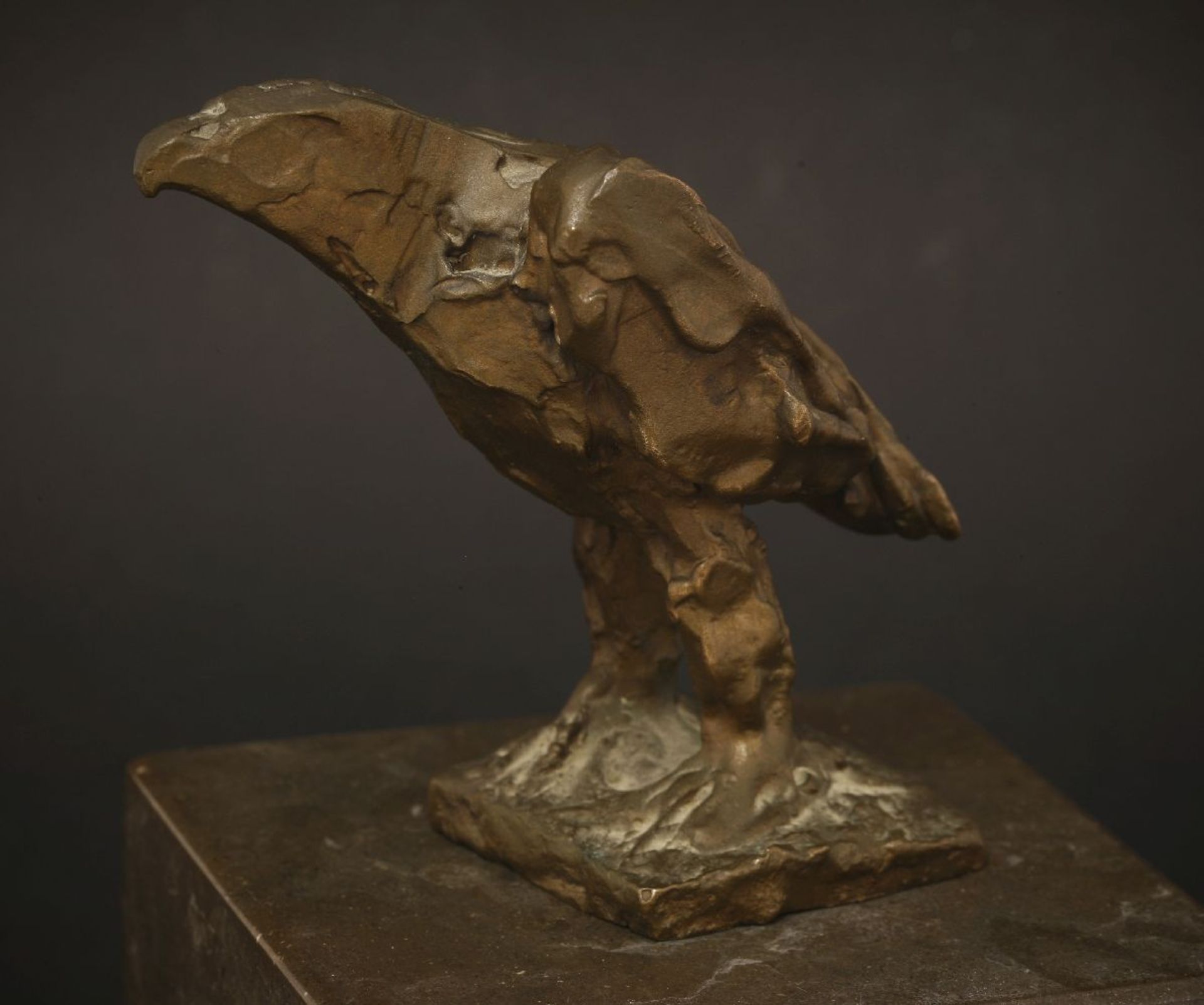 *Dame Elisabeth Frink RA (1930-1993),a golden eagle, bronze, with a brown patina, signed and - Image 6 of 7