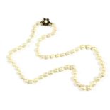 A single row graduated cultured pearl necklace, strung knotted to a gold cultured pearl and garnet