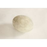 AN ELEPHANT BIRD EGG,a realistic resin model of an elephant bird egg, retailed by the British Museum
