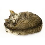 A SLEEPING CAT,late 20th century, a taxidermy model of a curled-up sleeping domestic cat,30cm long