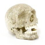MEMENTO MORI,an unusual Victorian memento mori bone carving of a skull, possibly whalebone,9.5cm