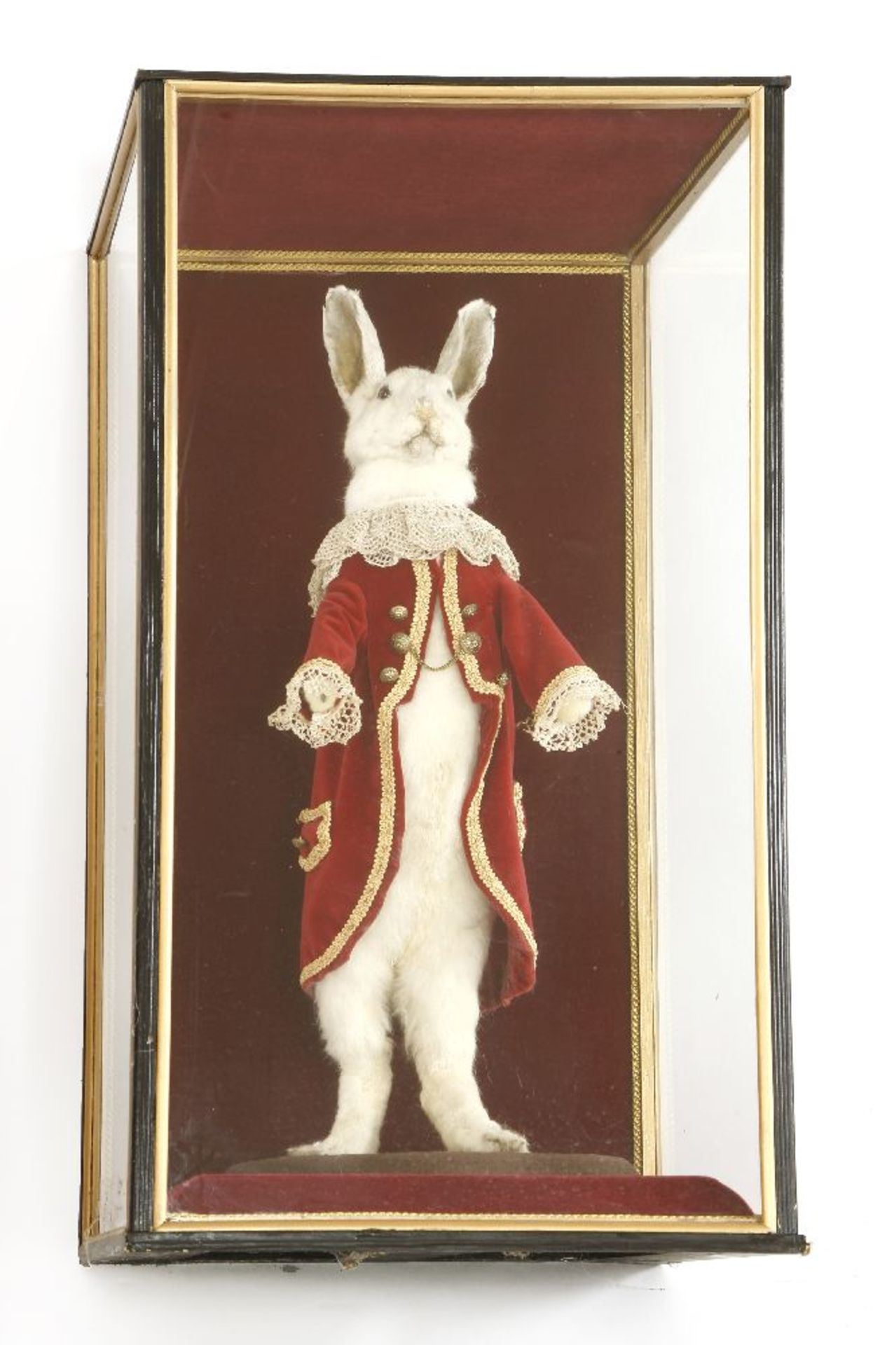 A DRESSED WHITE RABBIT,late 20th century, a taxidermy white rabbit dressed in a fine court coat,