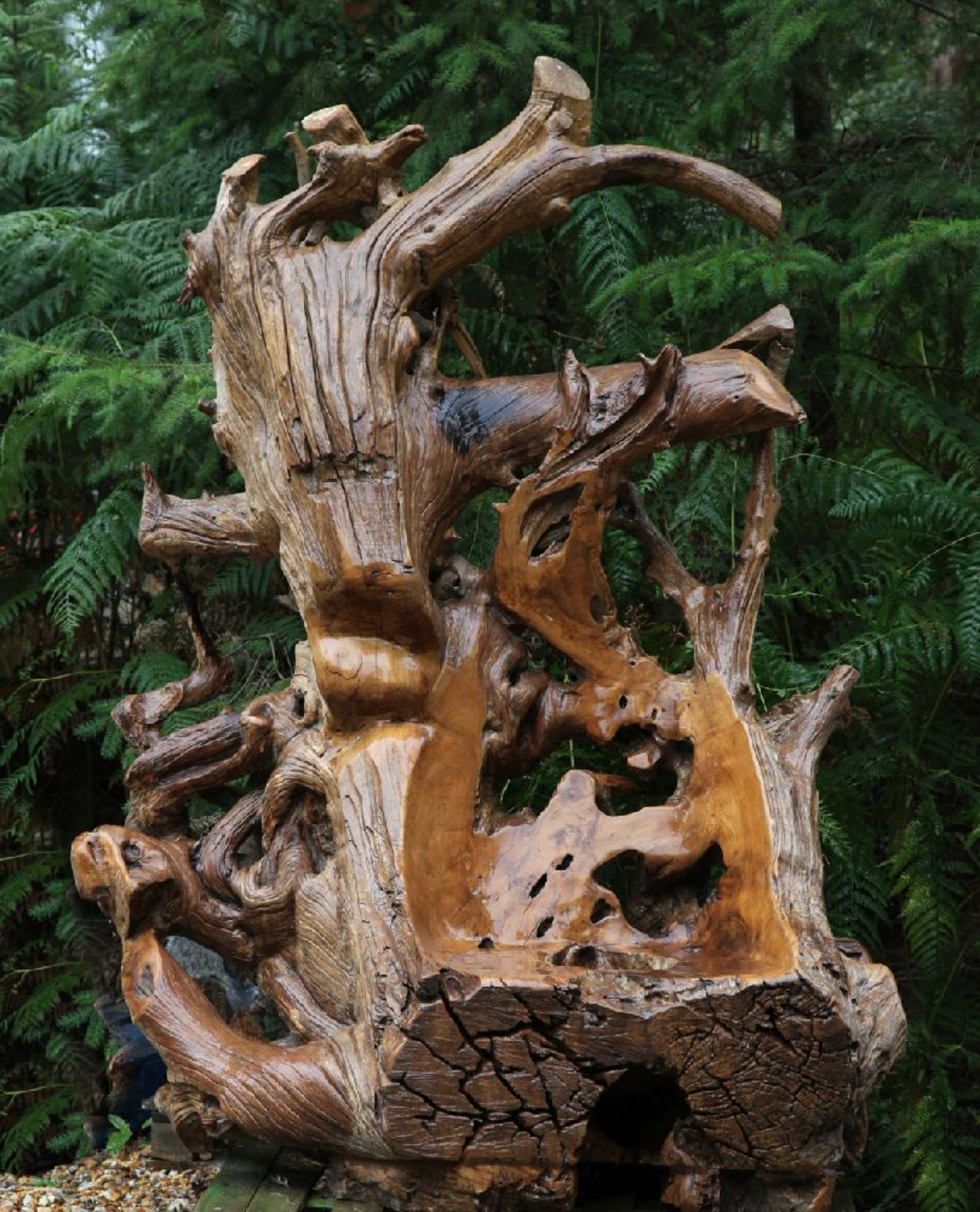 A KING ROOT CHAIR,hardwood, unique, 165cm wide, 221cm high
