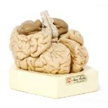 ADAM ROUILLY BRAIN MODEL,1960, an Adam Rouilly resin model of a brain, in six parts, on a blue
