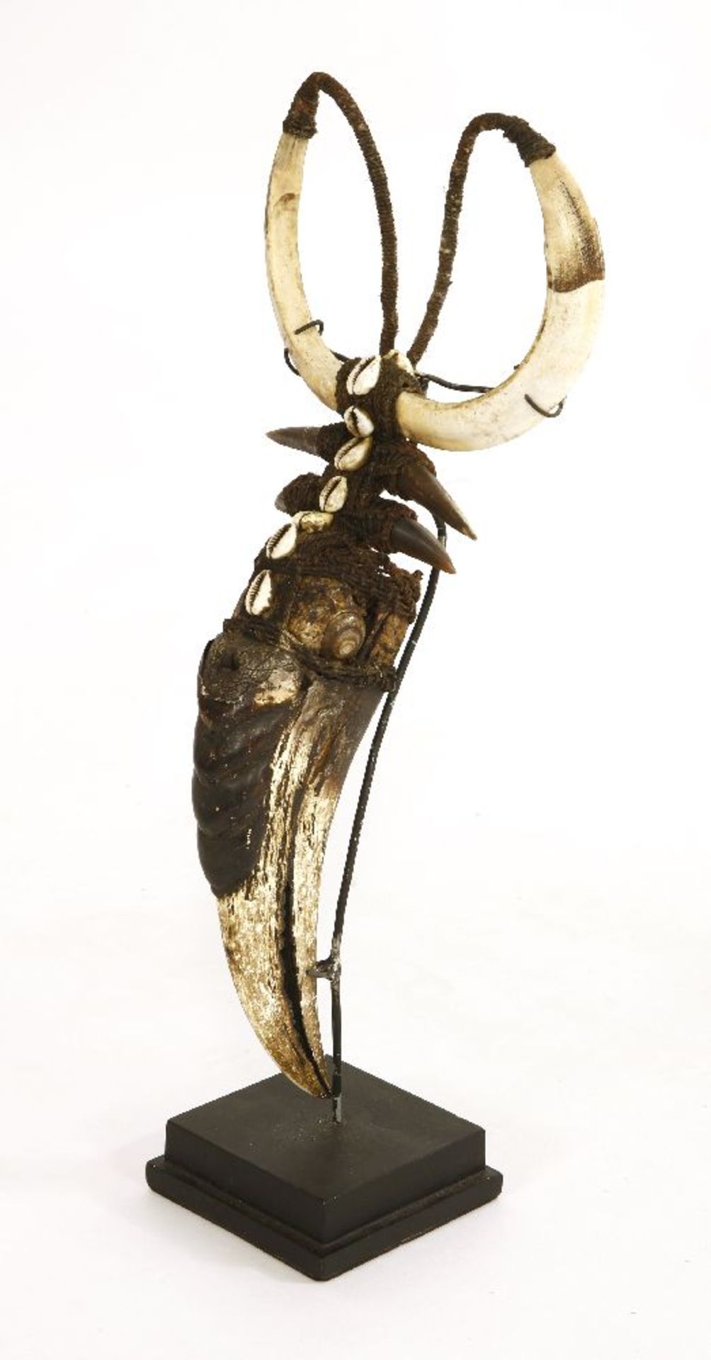HORNBILL, ¨early 20th century, a tribal necklace incorporating the bill from a hornbill and boar