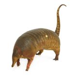 AN ARMADILLO,late 20th century, a standing taxidermy armadillo (Dasypus novemcinctus),56cm long