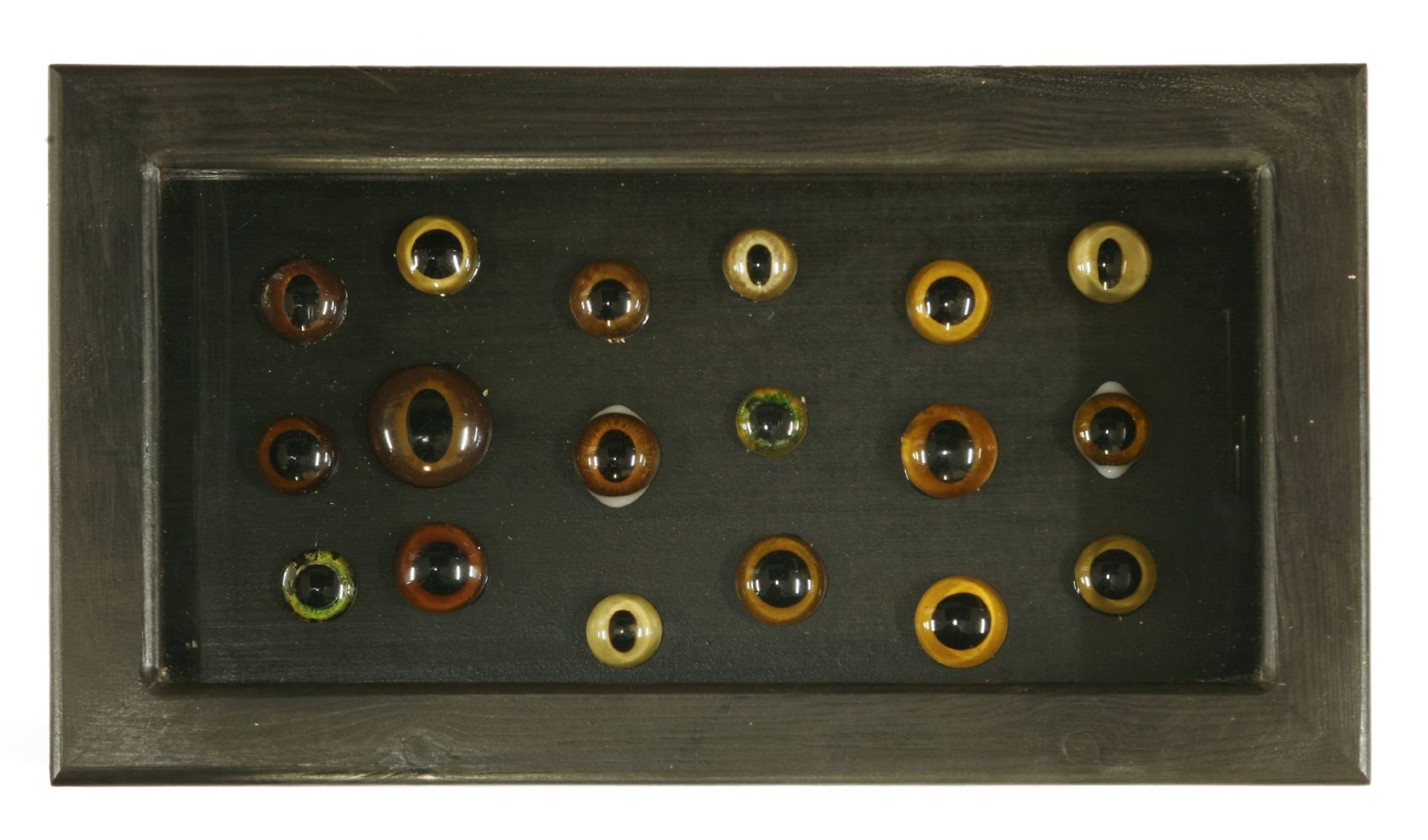 GLASS EYES,20th century, an unusual collection of glass eyes mounted in a rectangular glazed case,