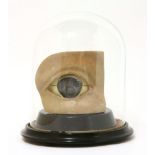 THE HUMAN EYE,20th century, an anatomical model of a human eye, mounted under a glass dome,dome 23cm