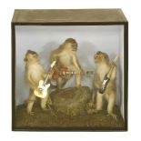 MONKEY BAND, ¨modern, a well-presented taxidermy group of three monkeys (Macaca fascicularis)