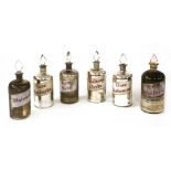 SIX SILVERED HERBALIST'S JARS,early 20th century, Spanish, with cut glass stoppers, hand-painted