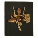 DISSECTED ANIMALS,late 20th century, a fibreglass model of a dissected frog mounted on a black