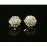 A pair of white gold diamond cluster stud earrings, marked 9k, 2.54g