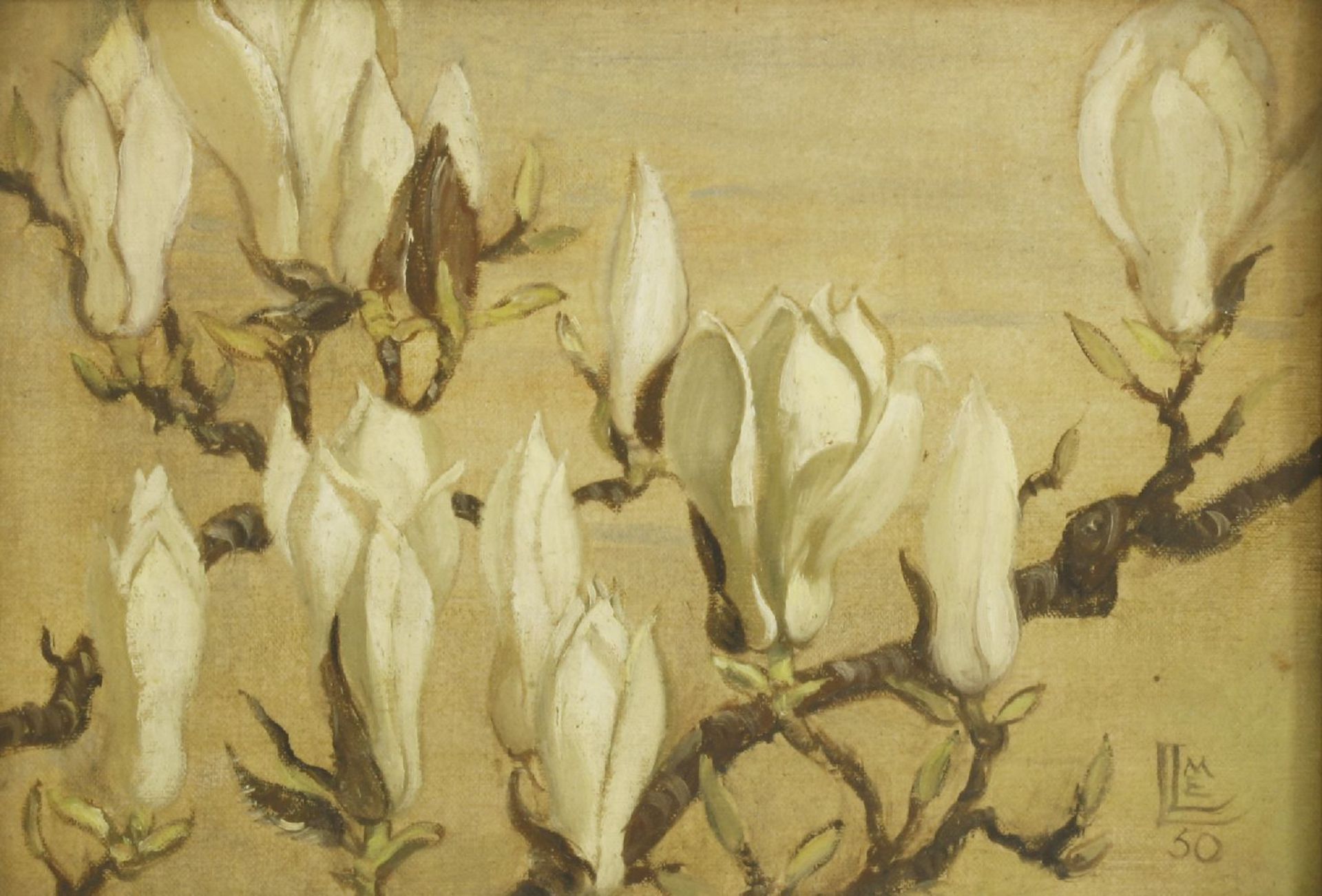 Modern British SchoolMAGNOLIASSigned with monogram and dated '50 l.r., oil on canvas board26 x 36cm