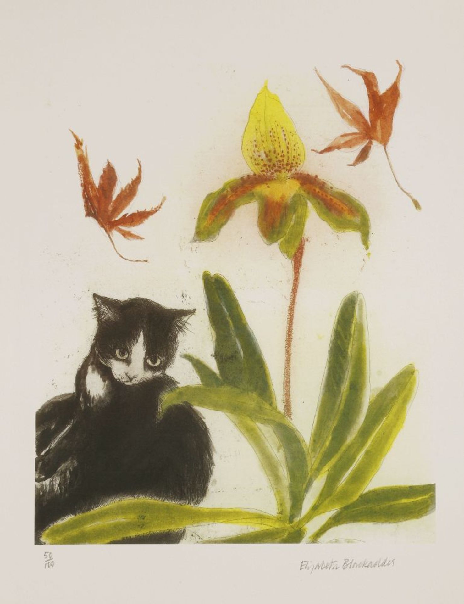 *Dame Elizabeth Blackadder RA RSA (b.1931)CAT AND ORCHIDLithograph printed in colours, signed and