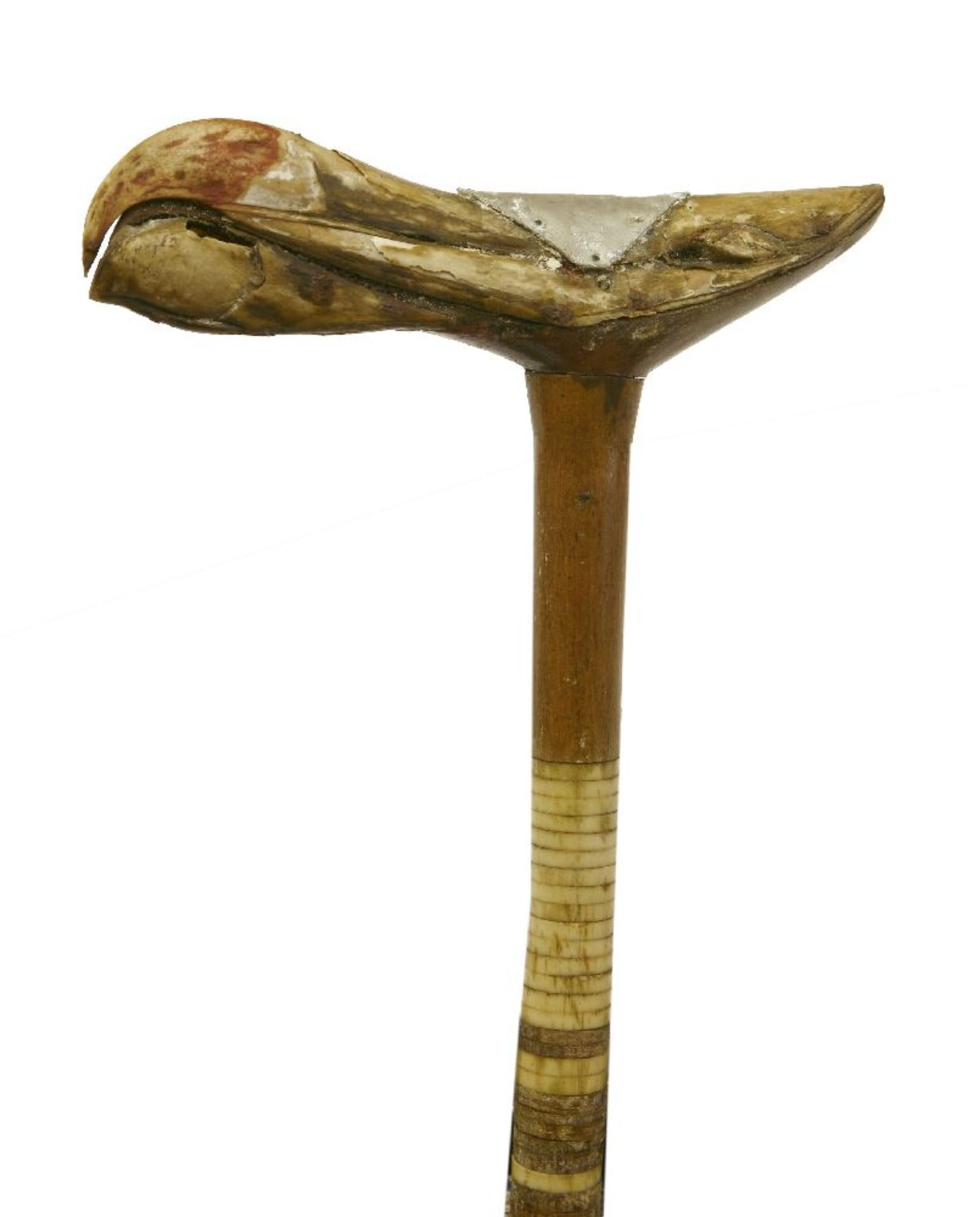 An unusual whaler's walking stick,the handle formed by the beak of an albatross secured by an