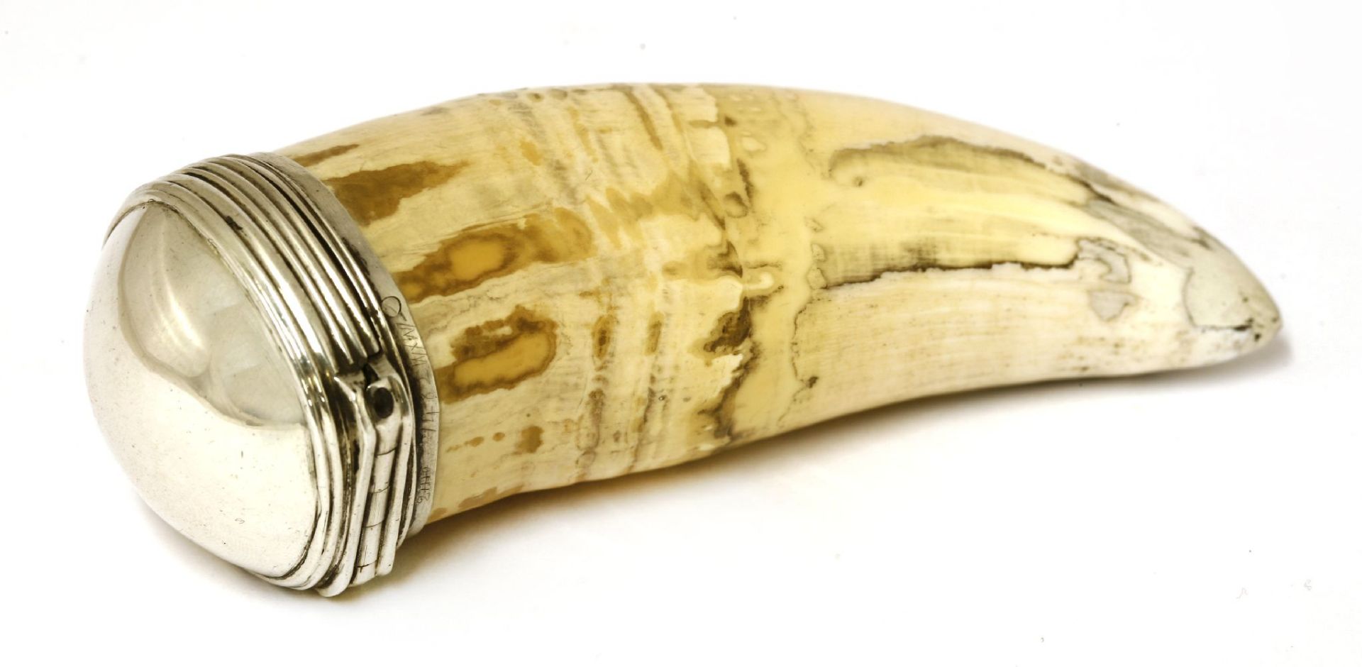 Three novelty vegetable ivory specimens, early 20th century, realistically carved with an ear, an - Image 2 of 2