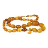 A single row graduated olive shaped amber bead necklace, 23.53g