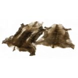 A large reindeer hide rug, together with a smaller example, the large rug measuring 153 cm x 136 cm