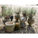 A set of five small garden vases,