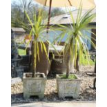 A pair of reconstituted stone planters