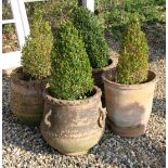 Three terracotta olive jars