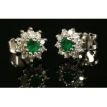 A pair of 18ct white gold emerald and diamond circular cluster earrings