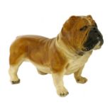 A life-sized composite figure of a standing bulldog,