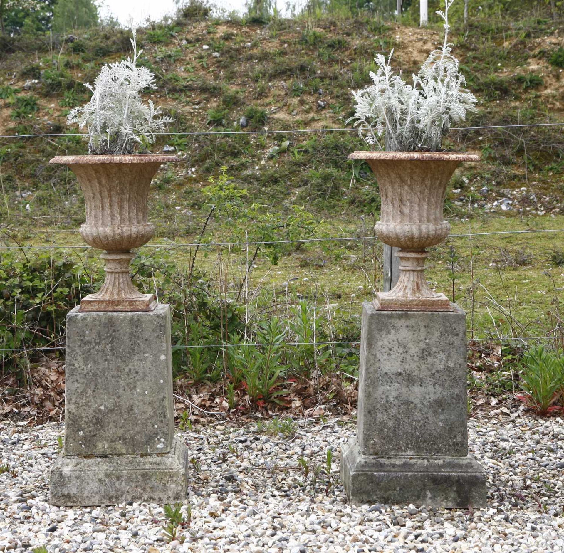 A pair of cast iron urns