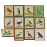 Indian reverse glass paintings of birds,