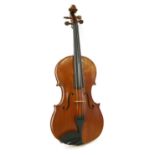 A viola,