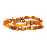 A butterscotch and yellow amber shard necklace