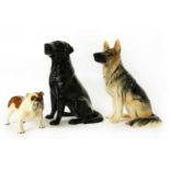 A Beswick model 2314 Black Labrador,