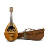 A Neopolitan mandolin,