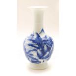 A Chinese blue and white vase