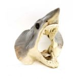 A Mako Shark head,