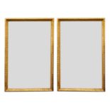 A large pair of carved and gilded picture frames,