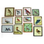 Twelve Indian reverse glass paintings of birds
