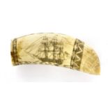 A scrimshawed whale's tooth,
