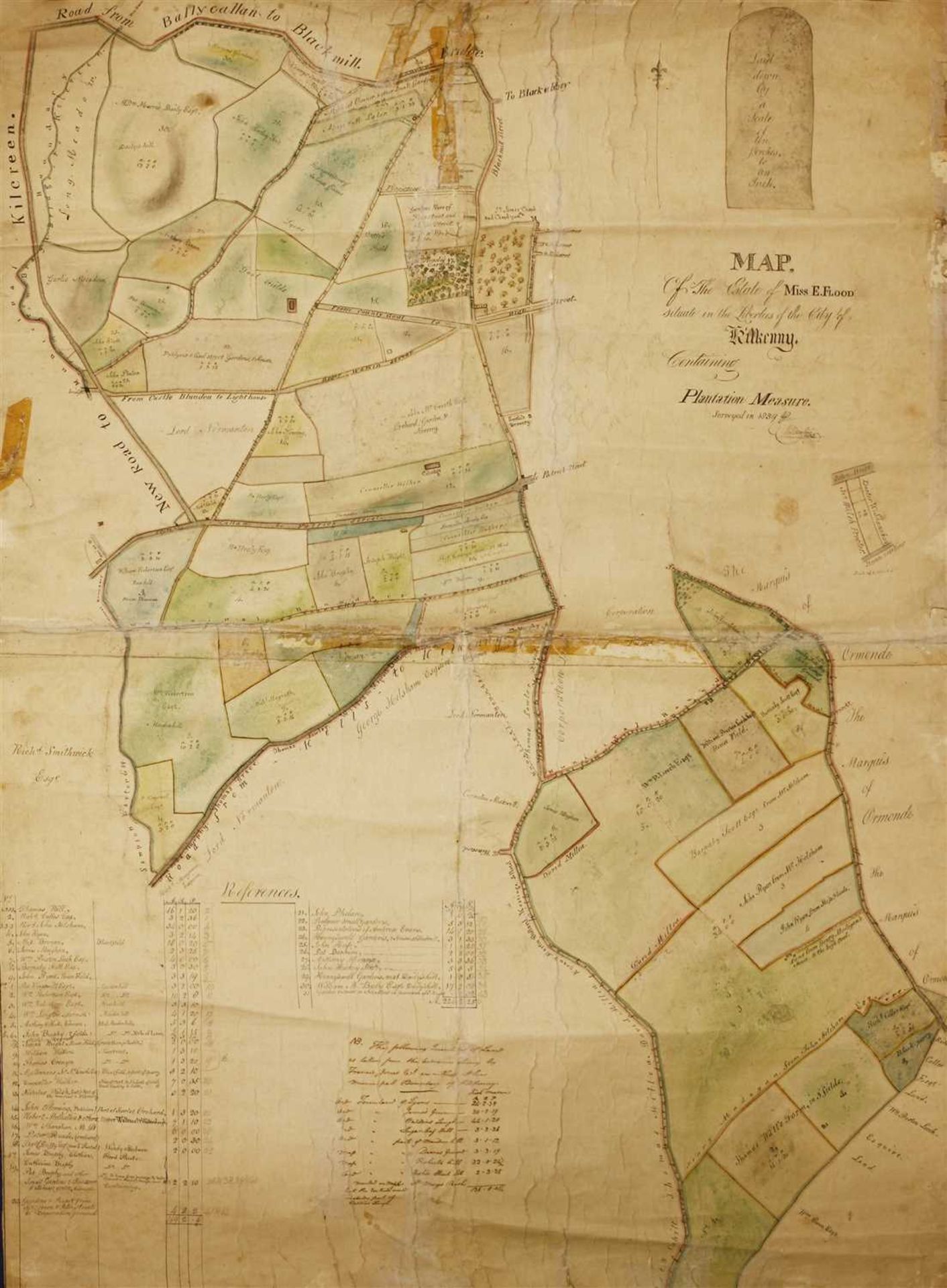 IRISH INTEREST: Original Hand drawn and coloured MAP of the Estate of Miss. E. Flood,