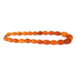 A single row graduated oval butterscotch amber bead necklace,