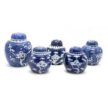 Five Chinese blue and white prunus ginger jars and lids,