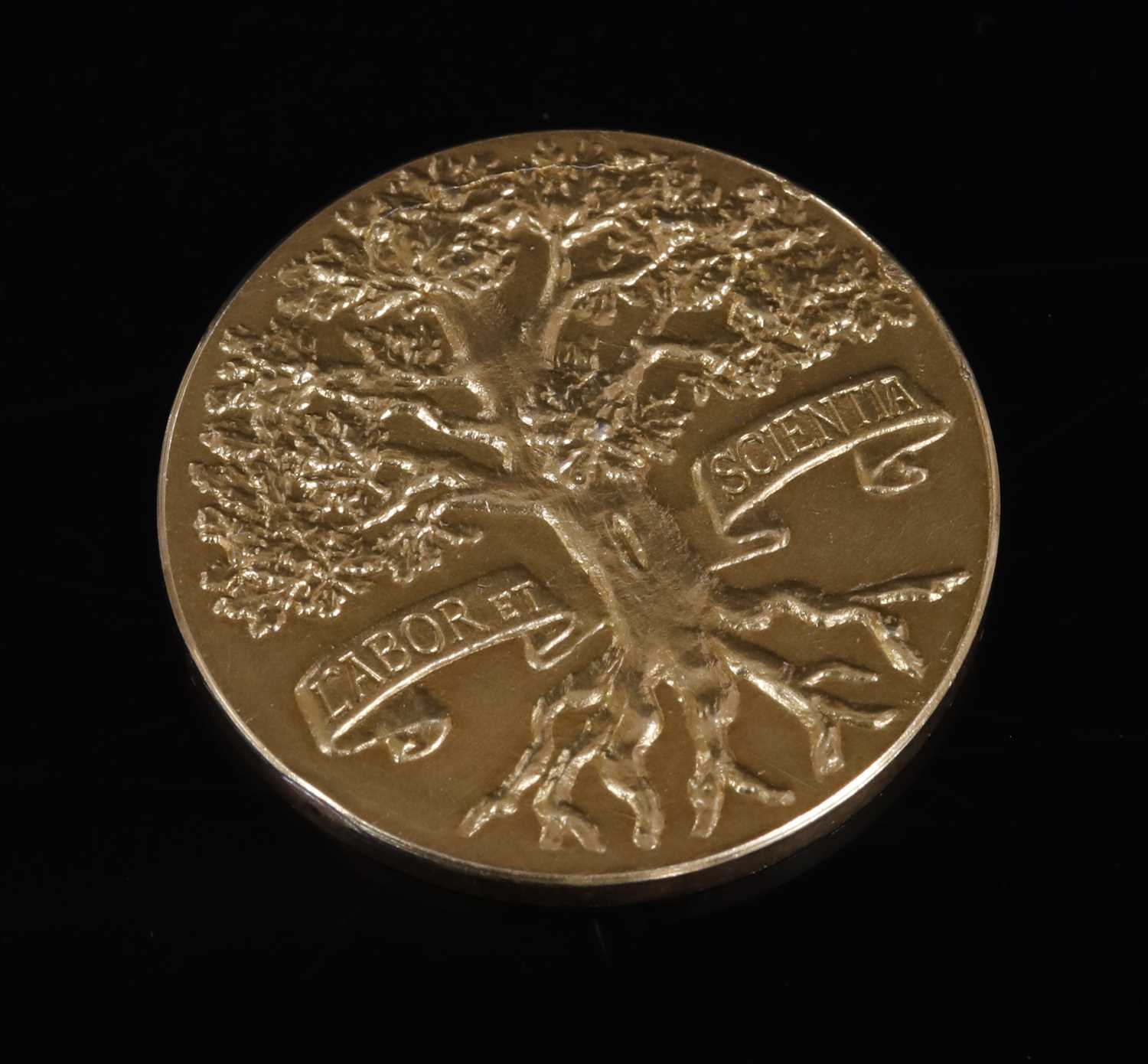 A Royal Horticultural Society gold medal,