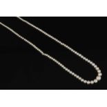 A single row graduated pearl necklace,