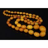 A single row graduated olive-shaped amber bead necklace,