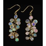 A pair of gold opal drop earrings,